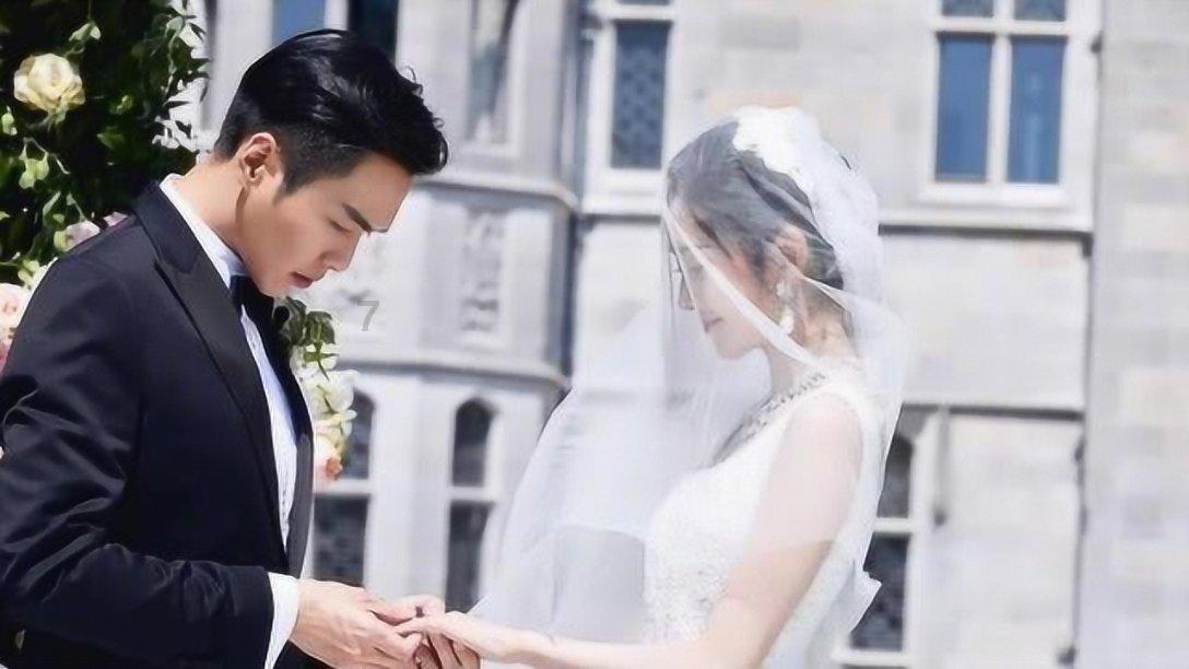 救援鹦鹉